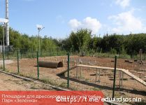 В Перми появятся современные площадки для дрессировки собак 