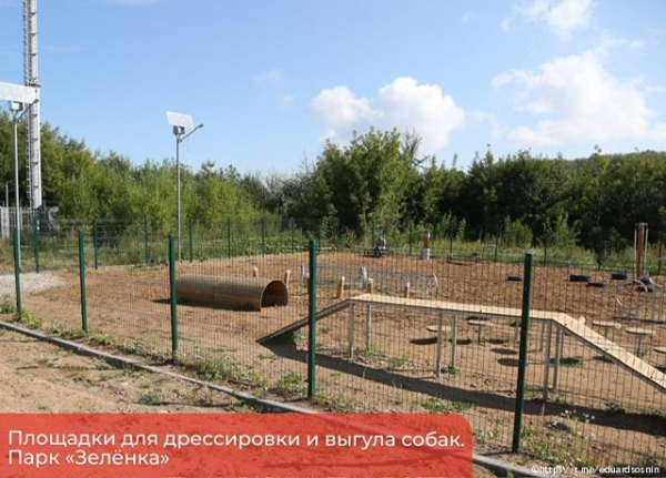 В Перми появятся современные площадки для дрессировки собак 