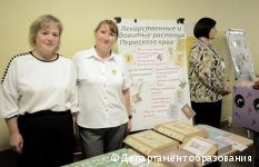 В Перми прошла ярмарка социально-педагогических инноваций для руководителей и педагогов детских садов