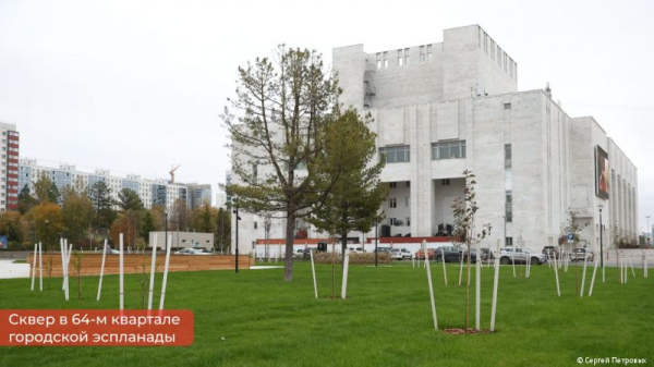 Жителей Перми приглашают выбрать название сквера, расположенного в 64 квартале эспланады
