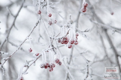 В Пермском крае ожидаются сильные снегопады и усиление морозов В Пермском крае ожидаются сильные снегопады и усиление морозов