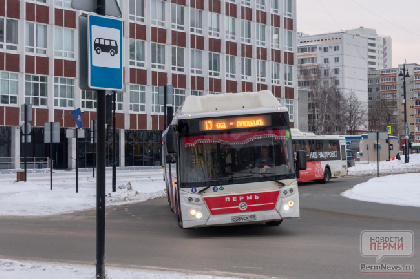 С безбилетников в пермском транспорте взыскали 35 млн рублей штрафов С безбилетников в пермском транспорте взыскали 35 млн рублей штрафов
